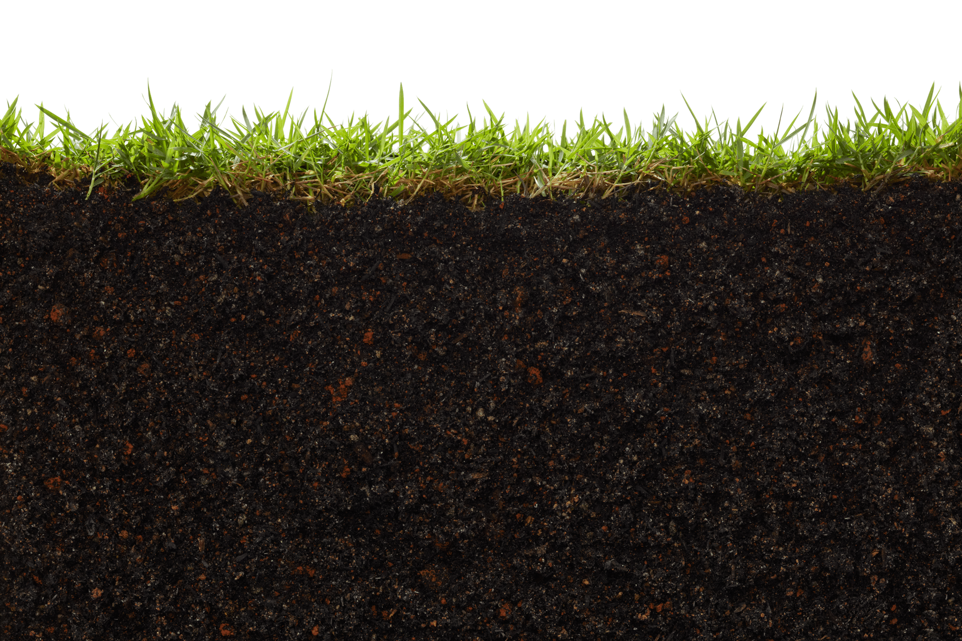 Soil Health – The Foundation of Turf & Garden Performance