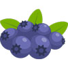 Backyard Farming - Blueberries